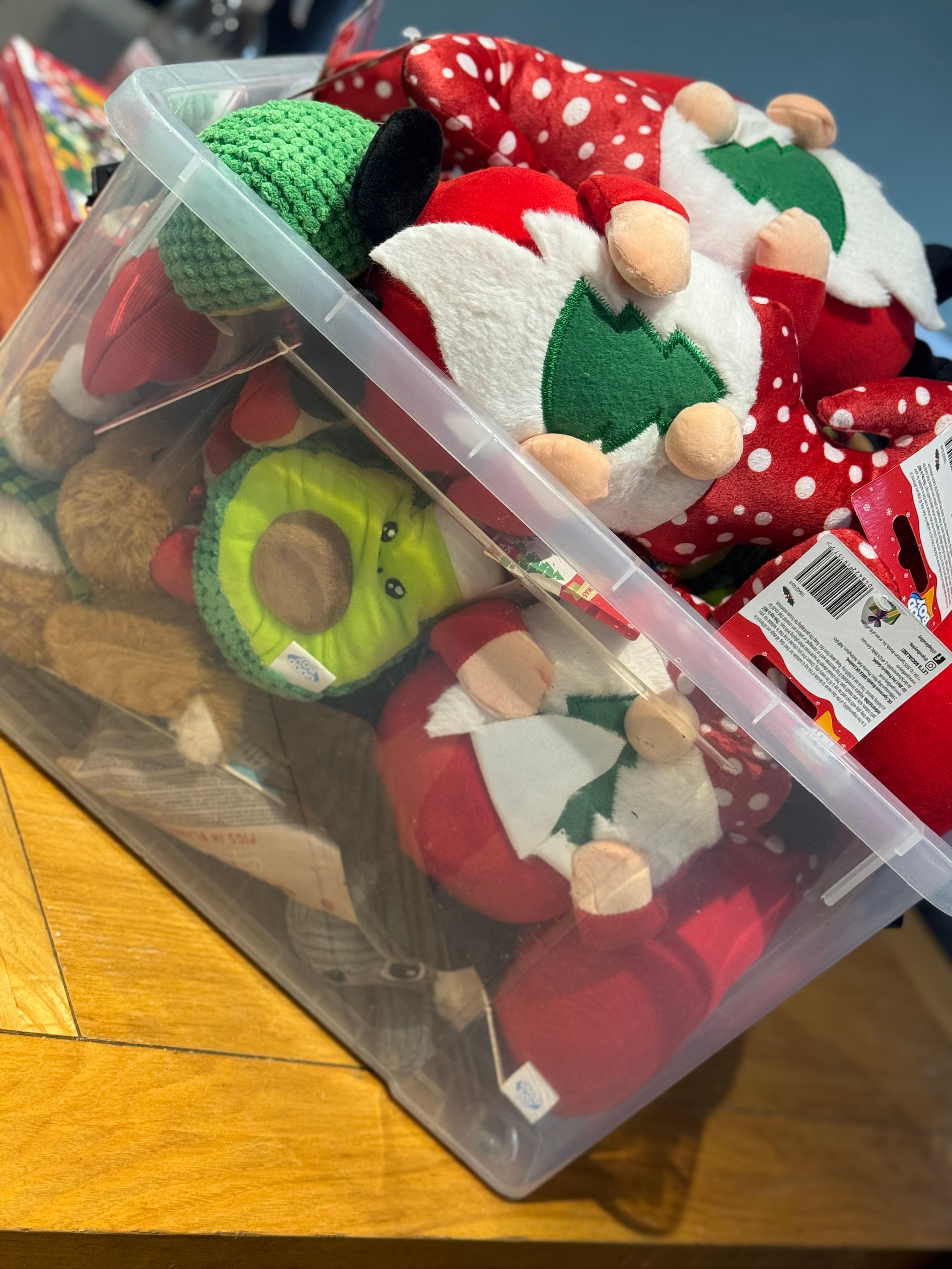 Mystery Christmas Box