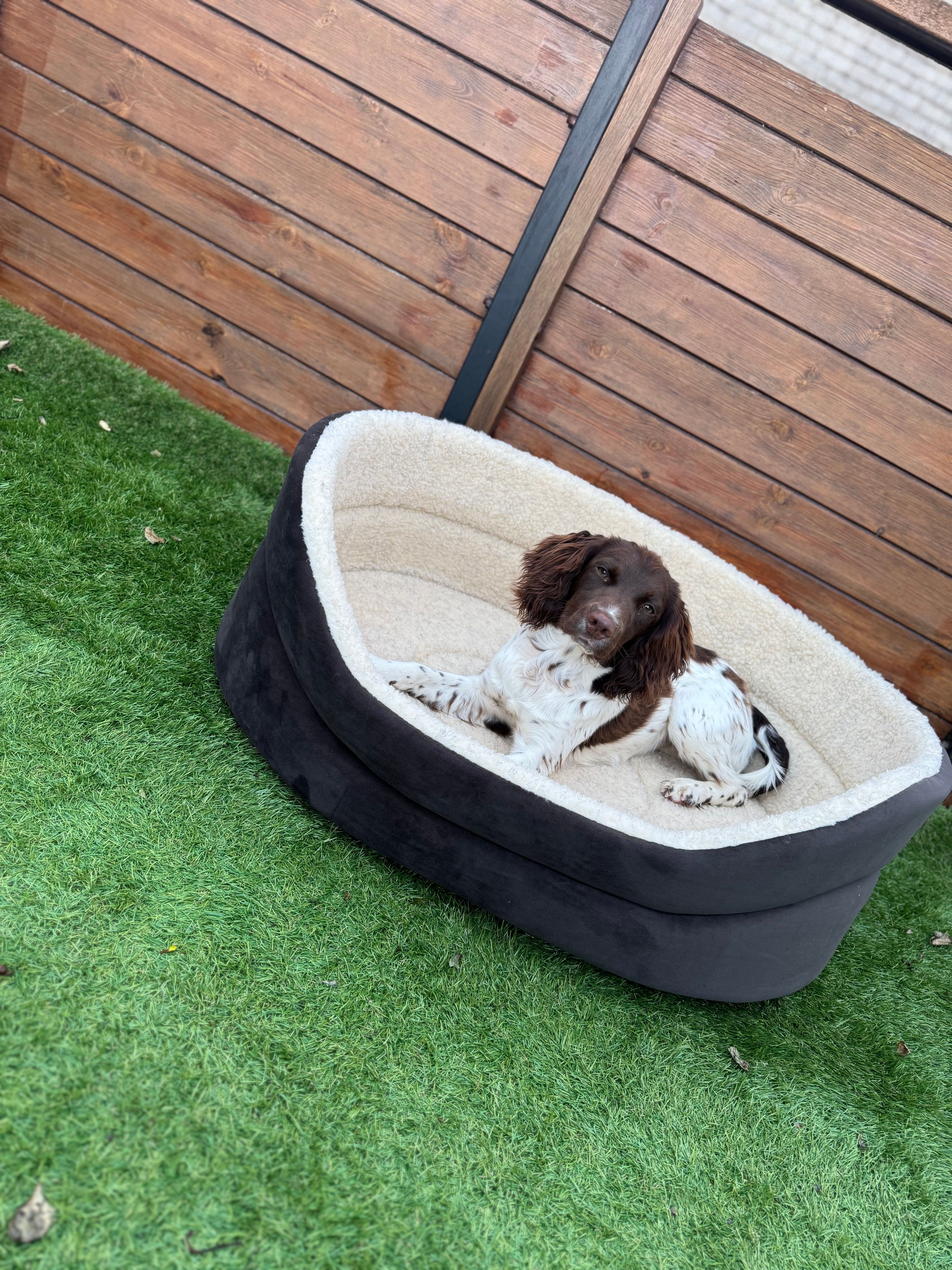 Oval Comfort Dog Beds