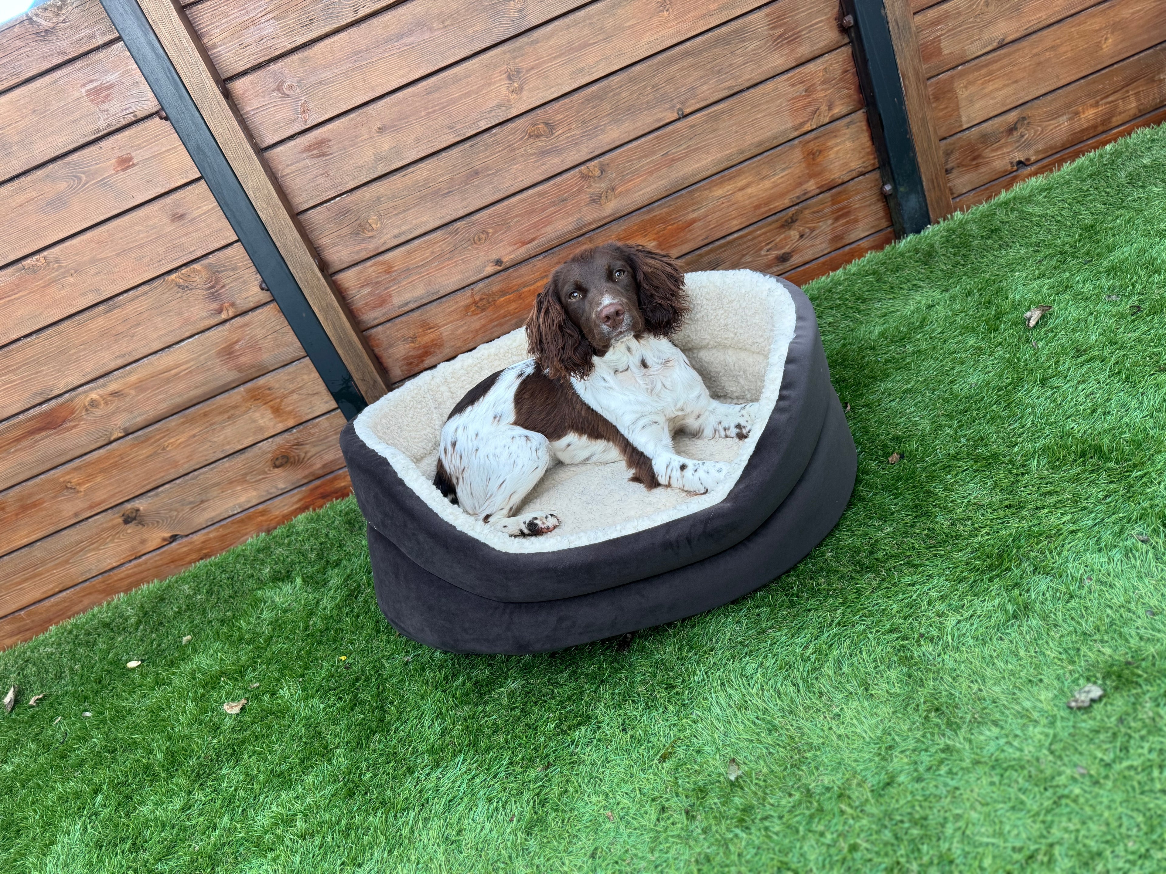 Oval Comfort Dog Beds
