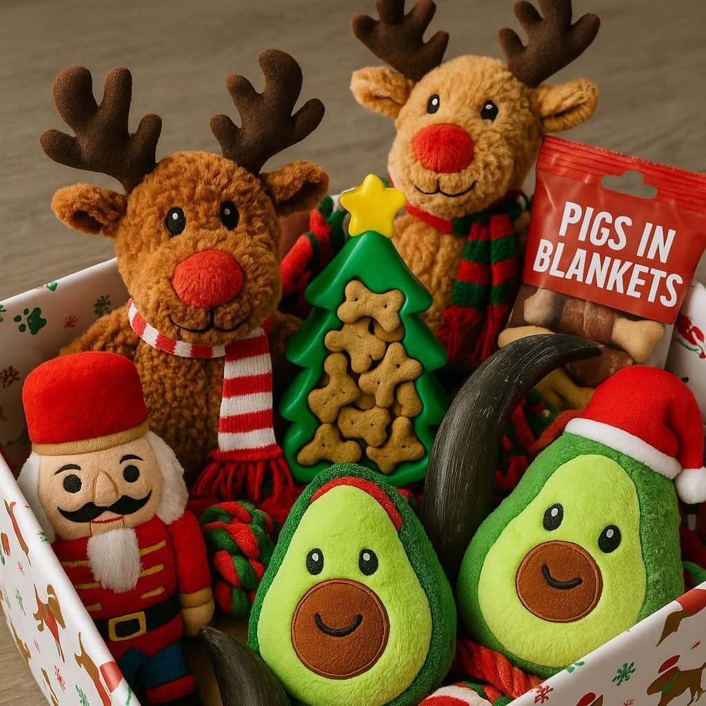 Mystery Christmas Box