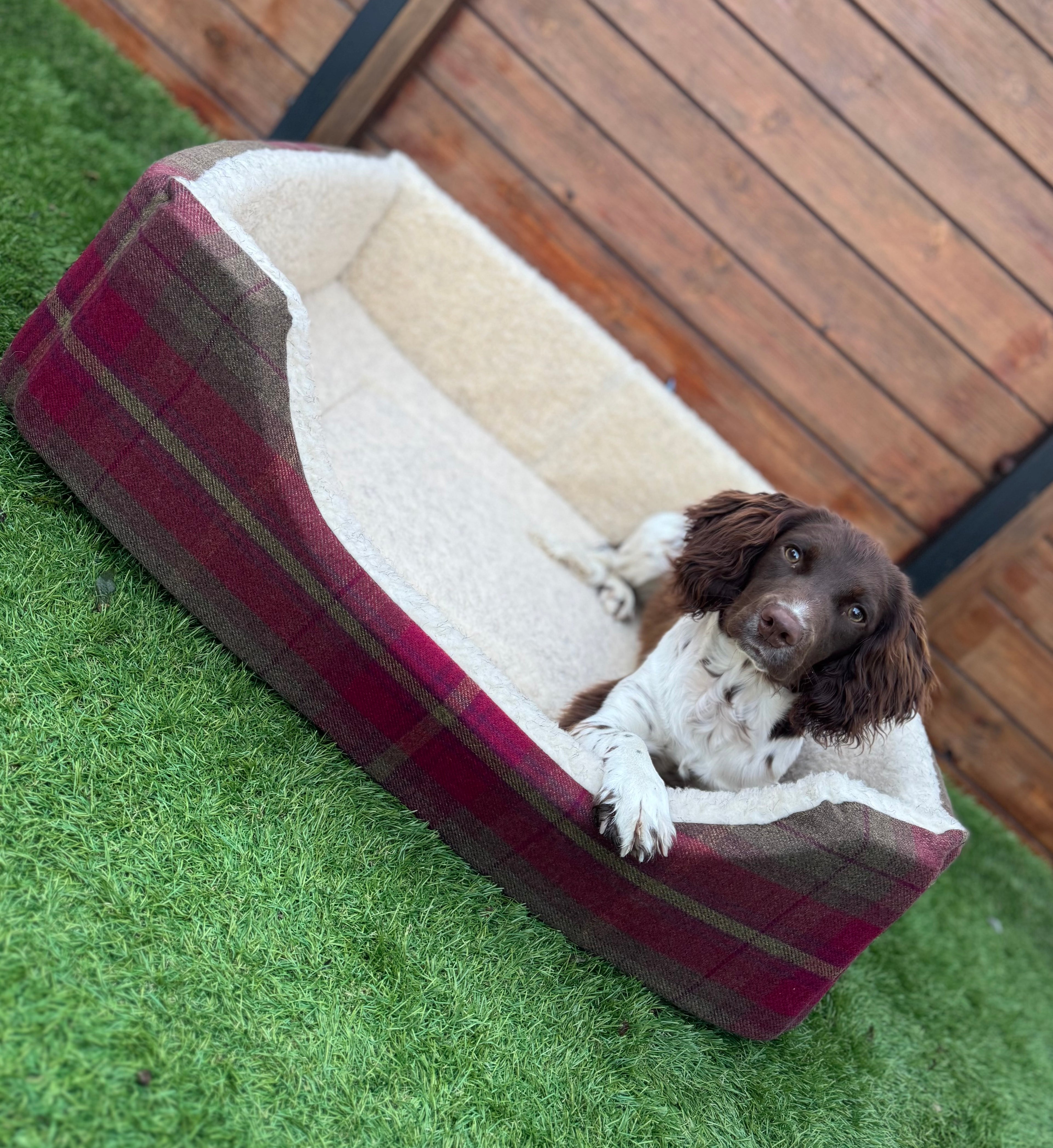 Rectangle Comfort Dog Beds