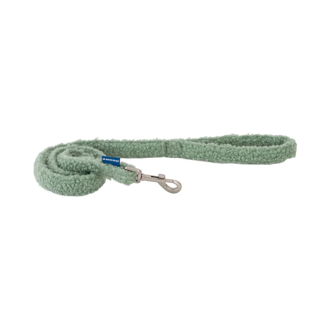 ANCOL Small Bite Teddybear Dog Lead