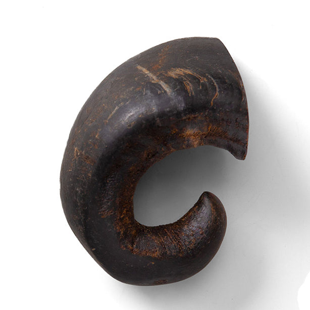 Buffalo Horn