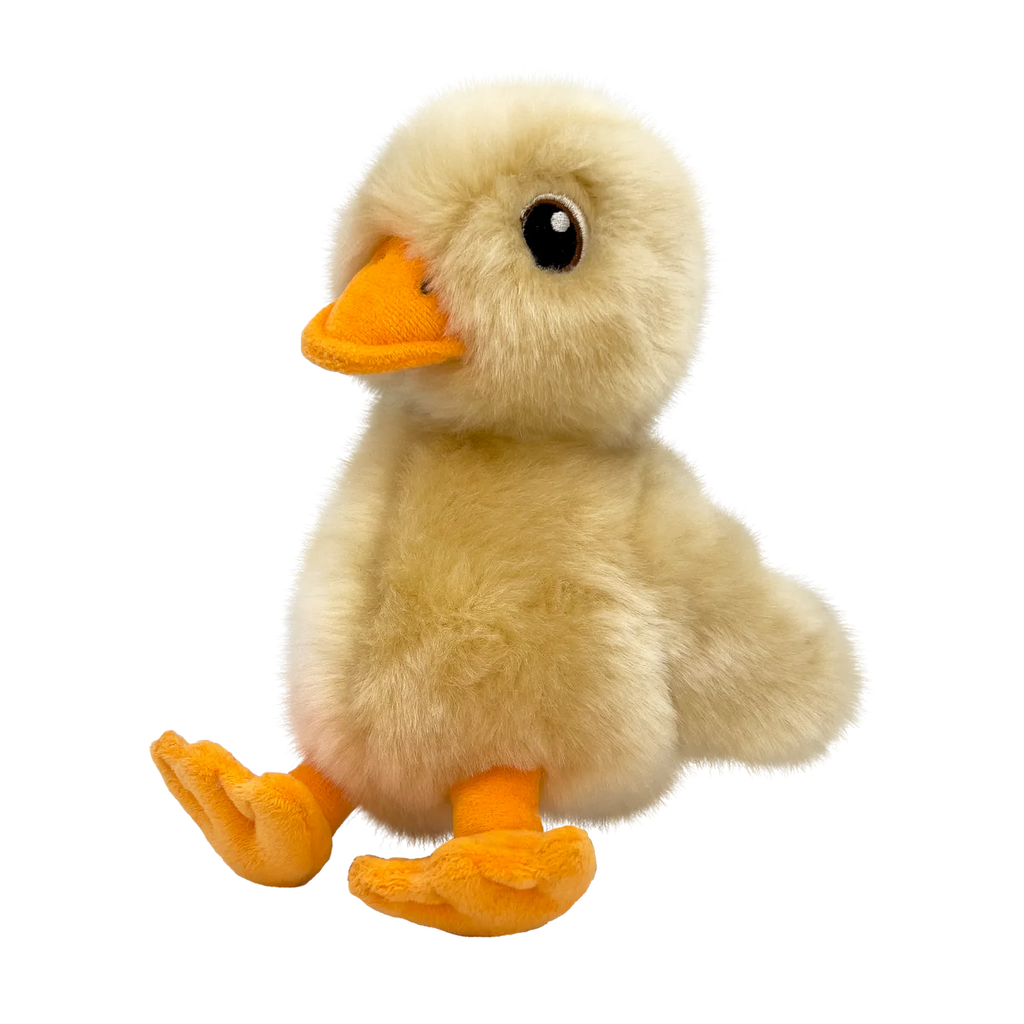 KONG Toughz Duck