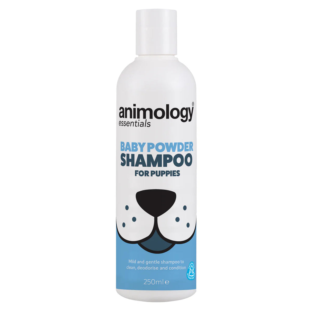 Animology Essentials Shampoo
